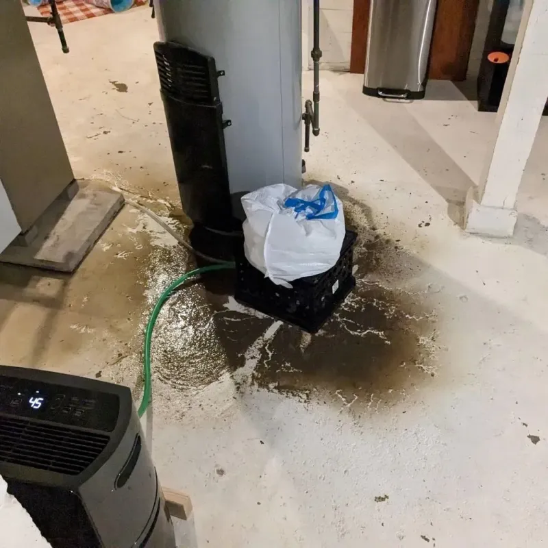 Sewage Backup Cleanup Service in Britt, IA